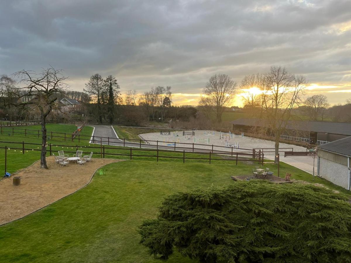B&B At Haras Petit-Hallet Hannut 外观 照片